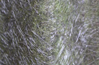 Donaghey fibreglass roof work